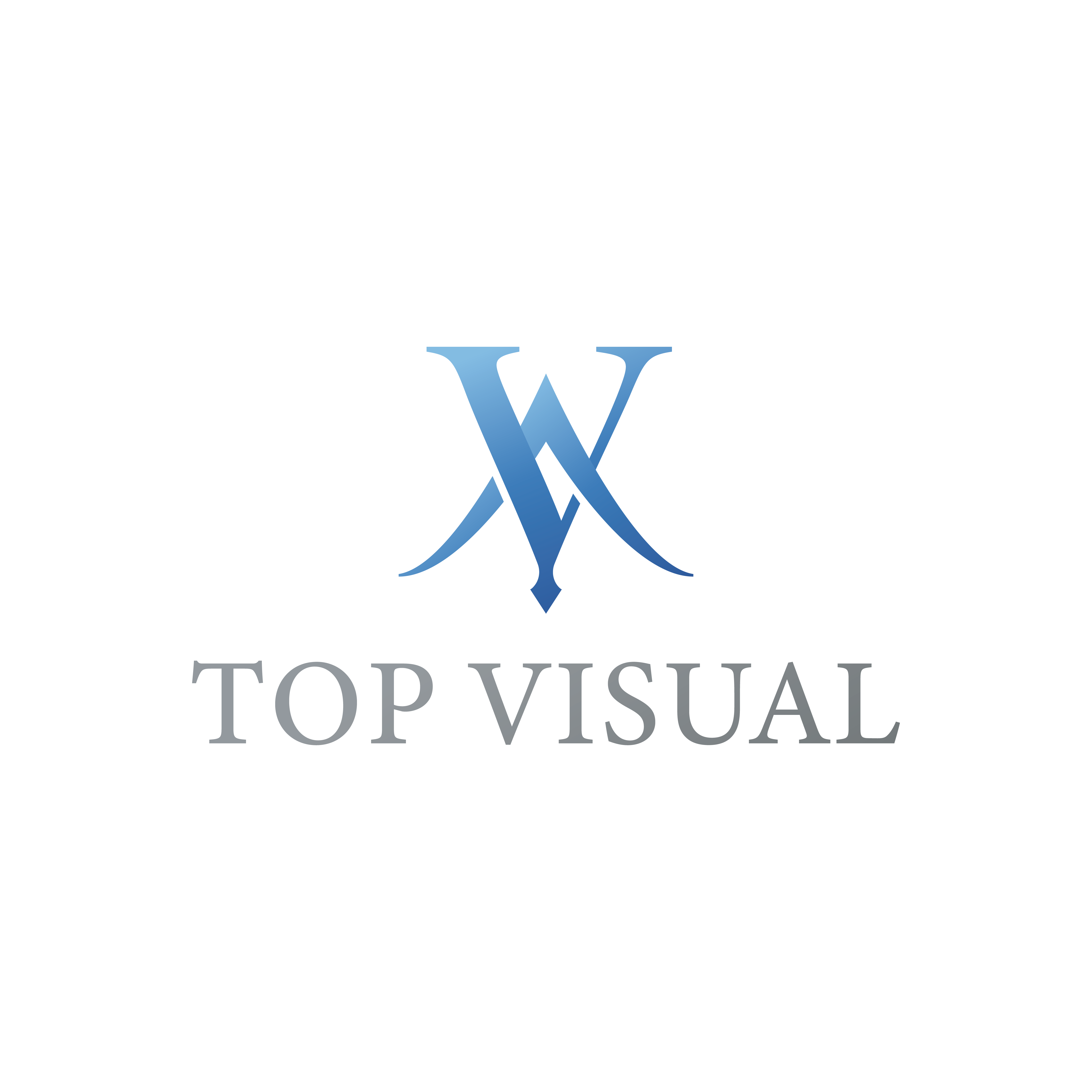 top visualロゴ
